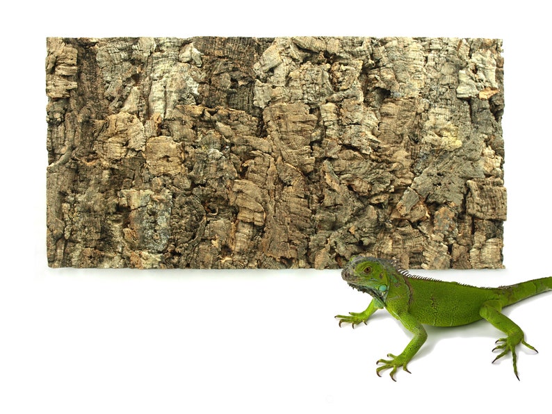 Natural Cork Tile Panel Background Wall 3D Reptile Terrarium Etsy