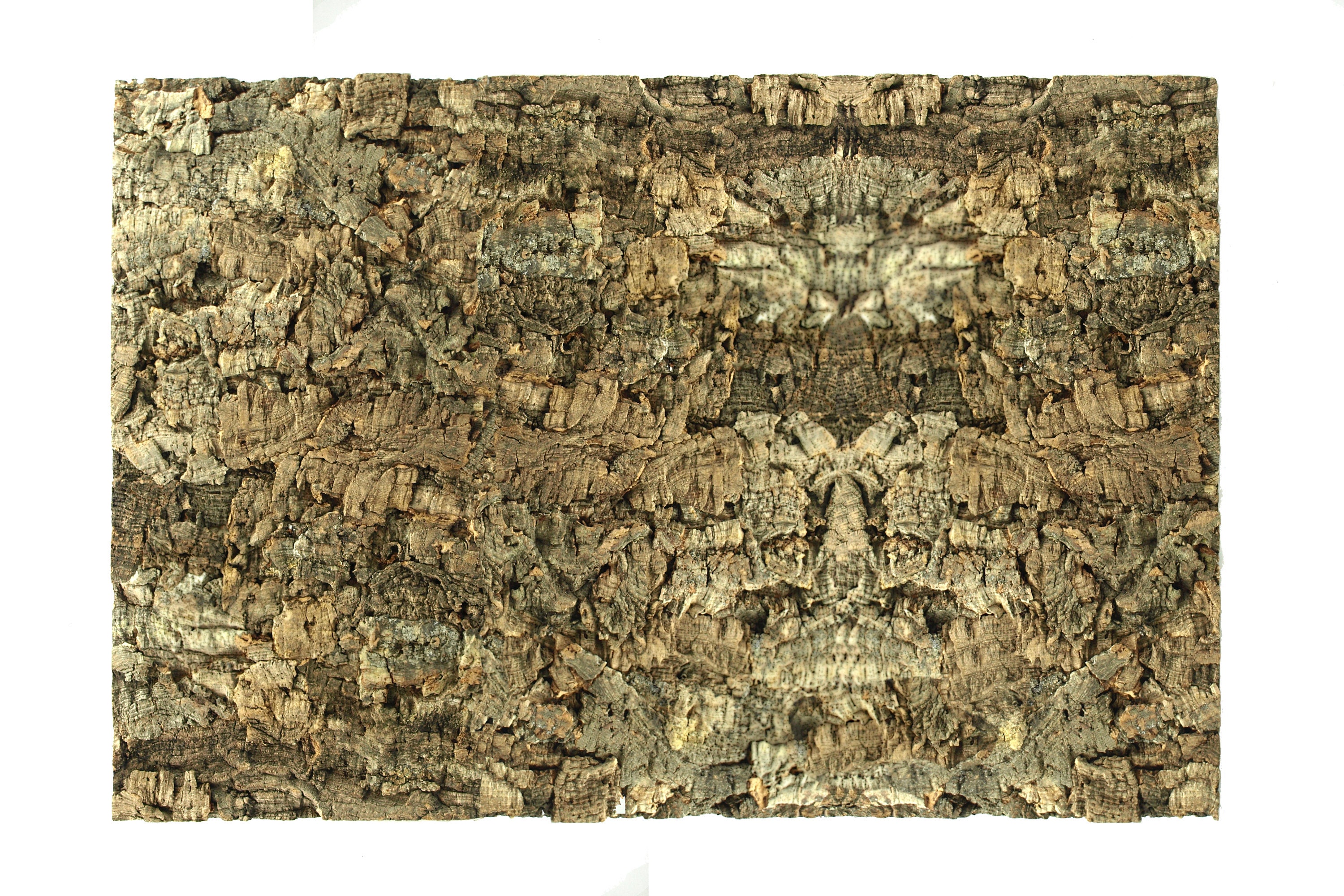 Natural Cork Tile Panel Background Wall 3D Reptile Terrarium Etsy