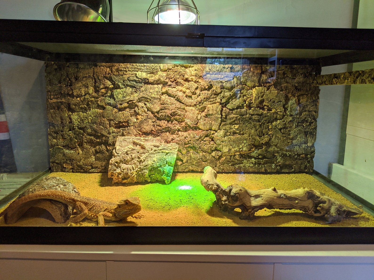 Natural Cork Tile Panel Background Wall 3D Reptile Terrarium Etsy