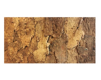 Natural Belly Bark Cork Panel 60 X 30 cm