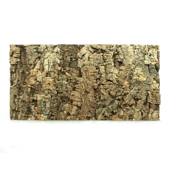 Civic Bewustzijn programma Natural Cork Panel Background Wall 3D Reptile Terrarium - Etsy België