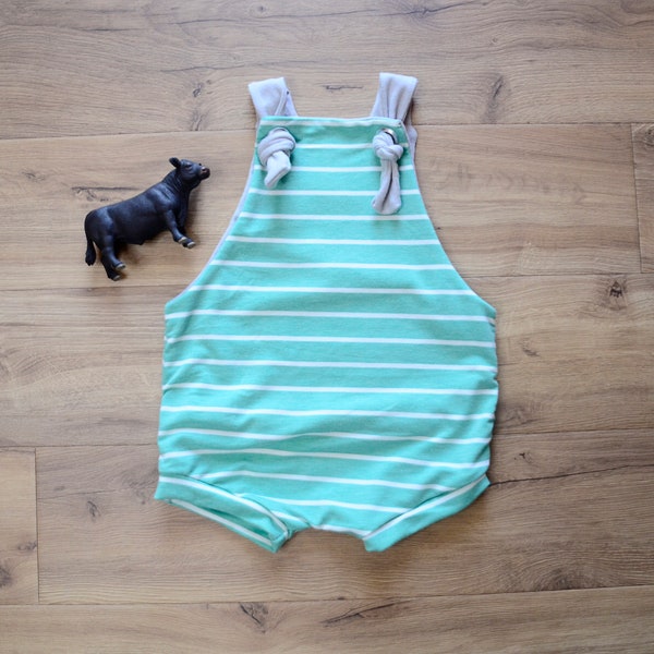 Boy's Mint Striped Overall Shorts