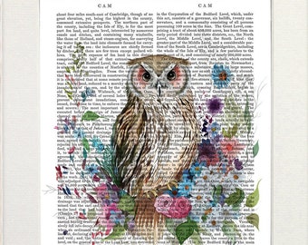 Woodland owl illustration with country cottage floral design printed on vintage book page or large stretched canvas art print made in UK