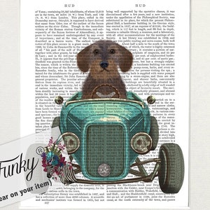 Dachshund Wire Hair Dog Art Print in Hot Rod Car, Auto Shop Poster, Funny Dog in Vintage Style Custom Classic Car Print Garage Wall Art