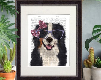 Puede incluir: Un perro de montaña bernés con gafas moradas y un lazo rosa con lunares blancos. El perro mira directamente al espectador con una expresión feliz. La imagen está impresa en una página de un libro antiguo.