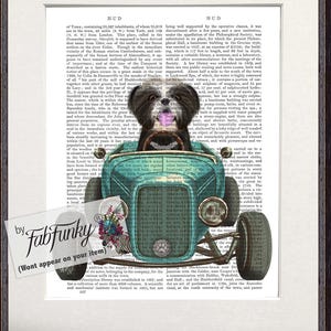 Shih Tzu Black White Dog Art Print in Hot Rod Car, Auto Shop Poster, Funny Dog in Vintage Style Custom Classic Car Print Garage Wall Art