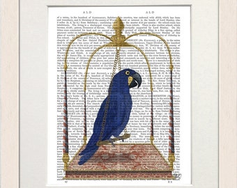 Blue parrot on swing, Blue parrot print, Blue bird painting, Tropcal bird art, Canvas art print, Book page print, Framed print, Parrot decor