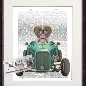 Shih Tzu Tan White Dog Art Print in Hot Rod Car, Auto Shop Poster, Funny Dog in Vintage Style Custom Classic Car Print Garage Wall Art