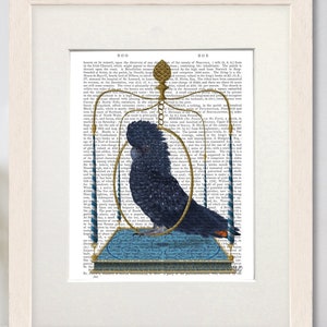 Black cockatoo on swing, Cockatoo print, Tropical bird art, Framed art, Dictionary print, Book page art, Canvas art, Tropical wall art