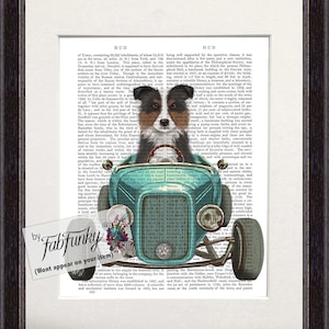 Border Collie Brown White Dog Art Print in Hot Rod Car, Auto Shop Poster, Funny Dog in Vintage Style Custom Classic Car Print Garage