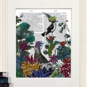 Botanical art print, Bird wall art, Framed print, Book page art, Floral picture framed, Tropical room decor, Bird gift, Glorious plumes 3