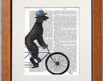 Cute gift -  Poodle black on bicycle - Cute gift for wife Cute office decor Cute gift for her Cute decor Cute gift for him Dog art print