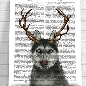 Husky siberiano y astas - husky art print husky regalo husky print siberian husky wall art dog poster dog print dog illustration décor
