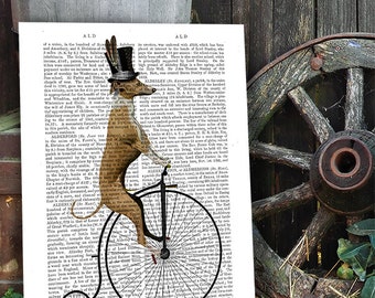 Greyhound dog on Penny Farthing - Black : dog on bike dog on bicycle Digital Illustration Art Print wall art wall decor Dog Print