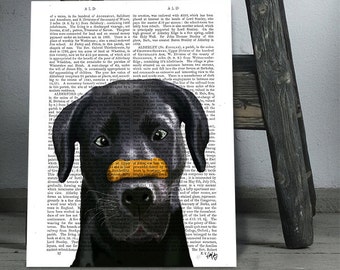 Impressão de Labrador Preto em Página de Livro Antigo – Arte Divertida de Cachorro