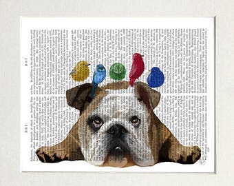 Estampado de bulldog inglés – Corona de pájaro, arte de libro antiguo