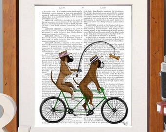 Stampa artistica di una bicicletta tandem con cane boxer – Pagina di un libro antico