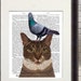 see more listings in the Cat Prints section