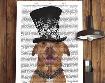 Pitbull print - Pit Bull with Black Hat pit bull art pit bull portrait pittie gift pit bull gift dog print dog illustration pibble