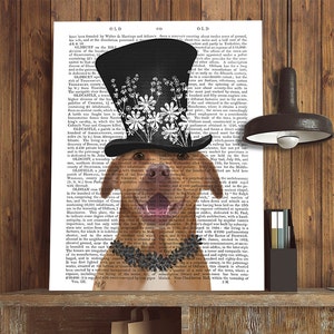 Pitbull print - Pit Bull with Black Hat pit bull art pit bull portrait pittie gift pit bull gift dog print dog illustration pibble