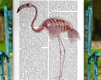 May include: A vintage book with a pink flamingo illustration on the cover. The book is open to a page with text about the history of Aldbury, England. The text is in black and white.