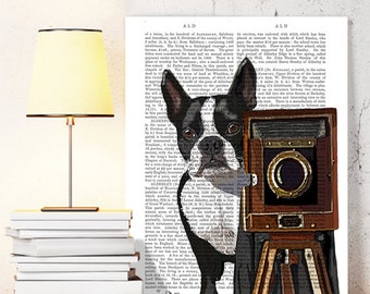Boston Terrier Print, Photographer, dog poster dog wall decor dog illustration dog gift for dog lover photographer gift photography gifts