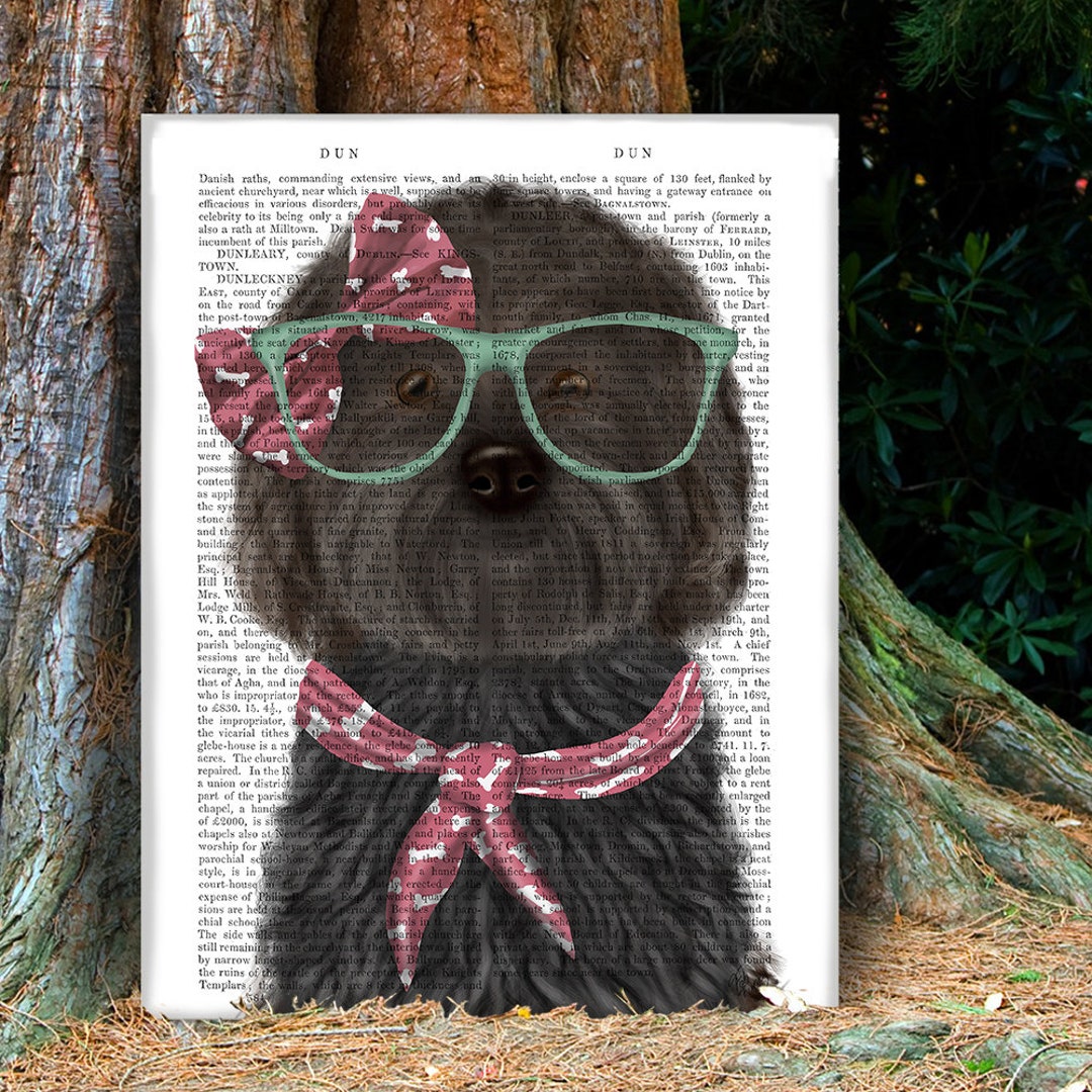 Pet Owner Gift - Cockerpoo Black With Glasses and Scarf - Pink Bedroom ...