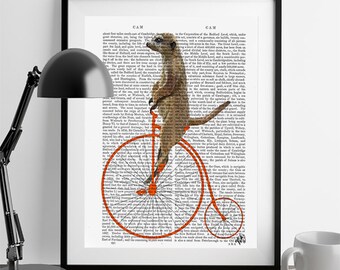Meerkat on Orange Penny Farthing Bicycle Art Print