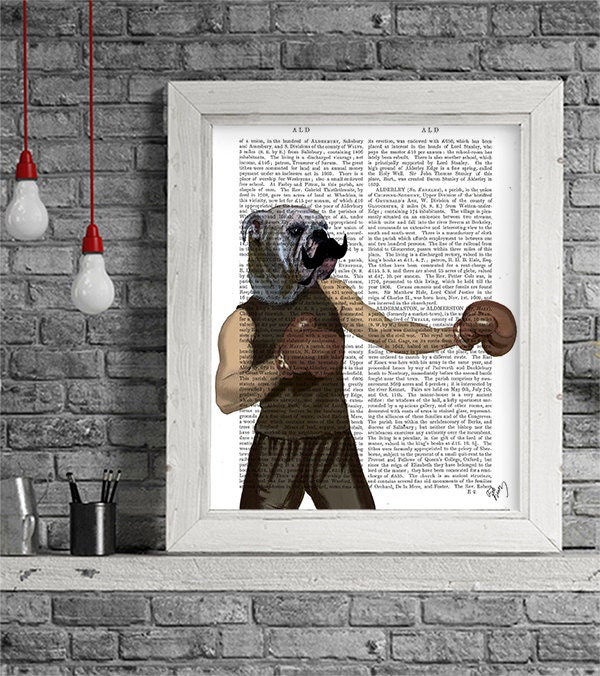 Boxing English Bulldog print, Portrait, boxing print boxing gift english Bulldog Art Bulldog Decor gifts for men Valentines gift for him