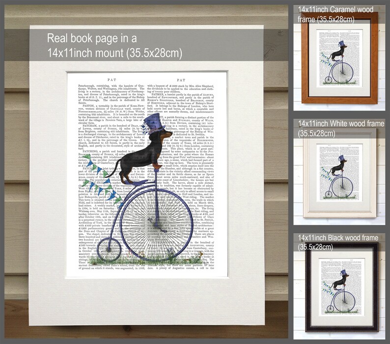 May include: A black and tan dachshund wearing a blue top hat rides a blue penny-farthing bicycle. The bicycle has a blue seat and blue streamers. The dachshund is on a page from an old book with text about the word "PAT." The image is framed in three different colors: caramel, white, and black.