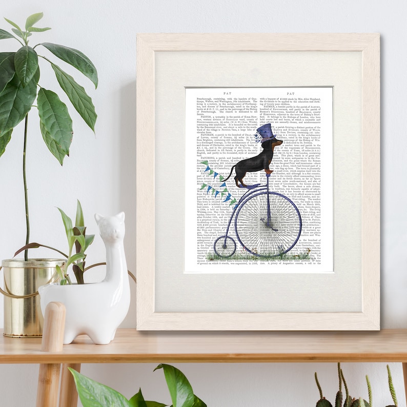 May include: A black and brown dachshund wearing a blue and white top hat rides a blue unicycle with a large front wheel. The dachshund is surrounded by blue and green pennants.