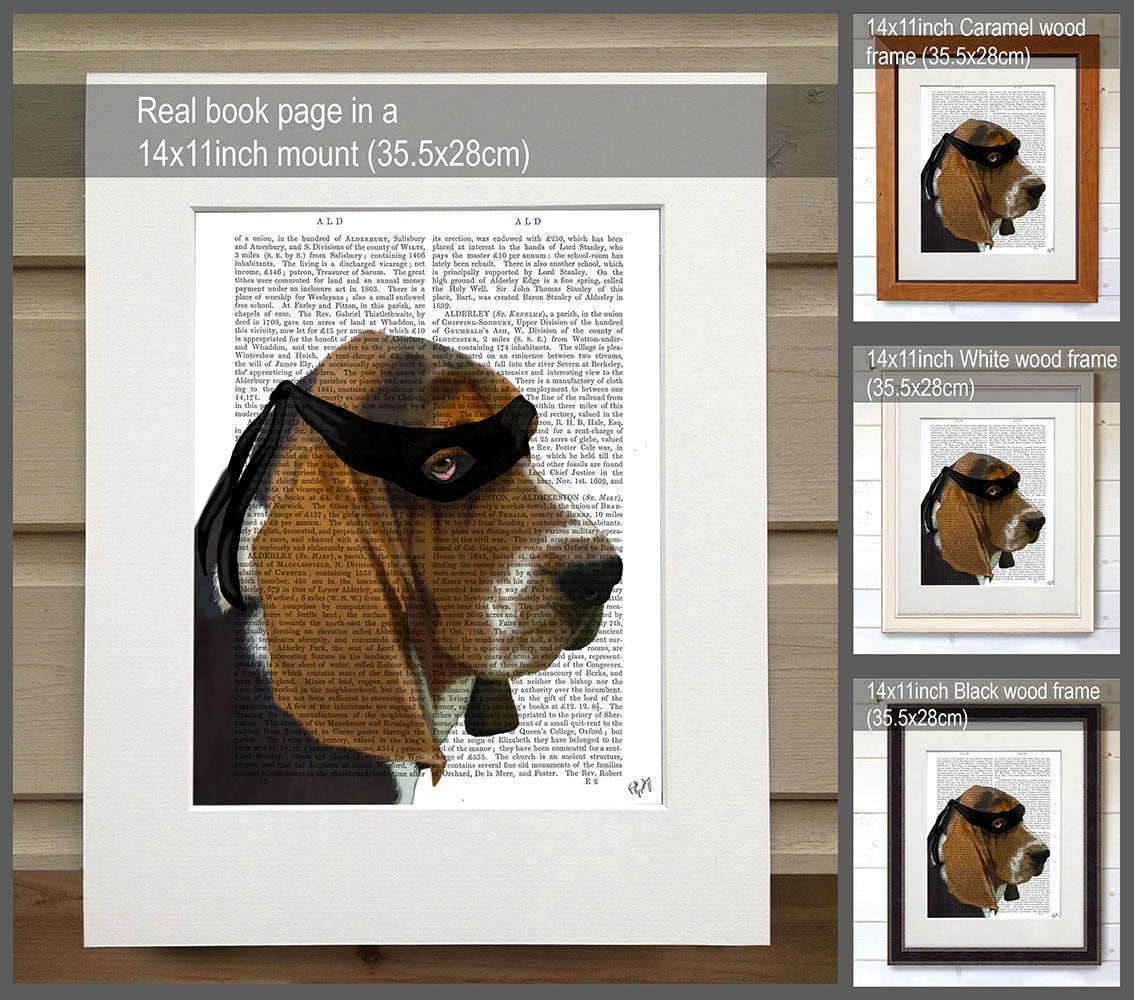 Basset Hound Print - Ninja Dog Print - Humorous Wall Art Funny Dog