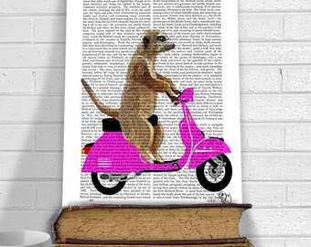 Moped Meerkat Pink Art Print Digital Illustration Drawing Poster Digital Print Wall Art Wall Hanging Digital poster