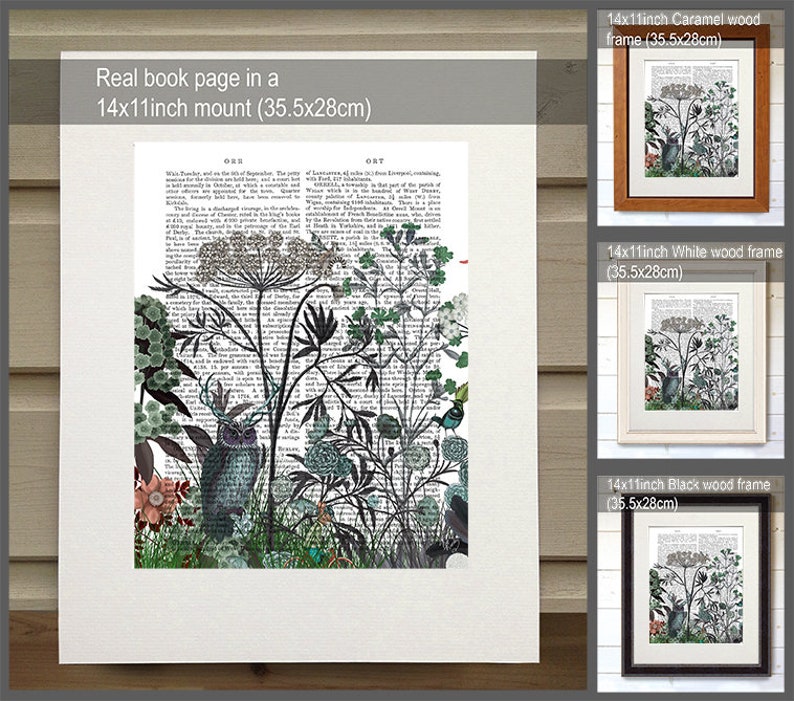 May include: A black and white illustration of an owl and other birds in a garden setting, printed on a book page. The image is framed in a 14x11 inch mount, and is available in caramel, white, and black wood frames.