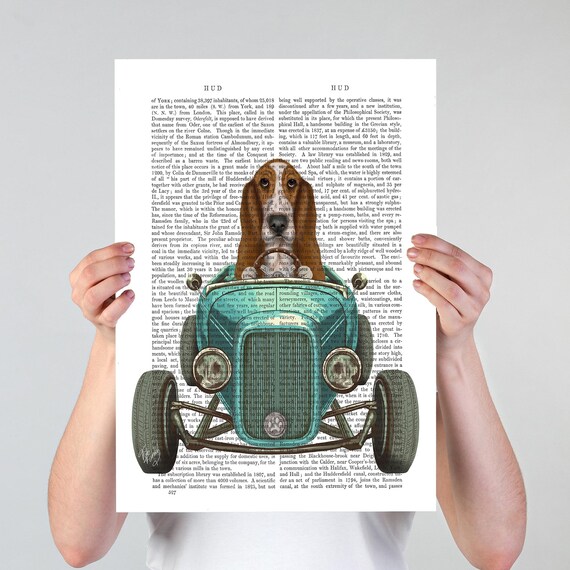 Basset Hound Dog Art Print in Hot Rod Car, Auto Shop Poster, Funny