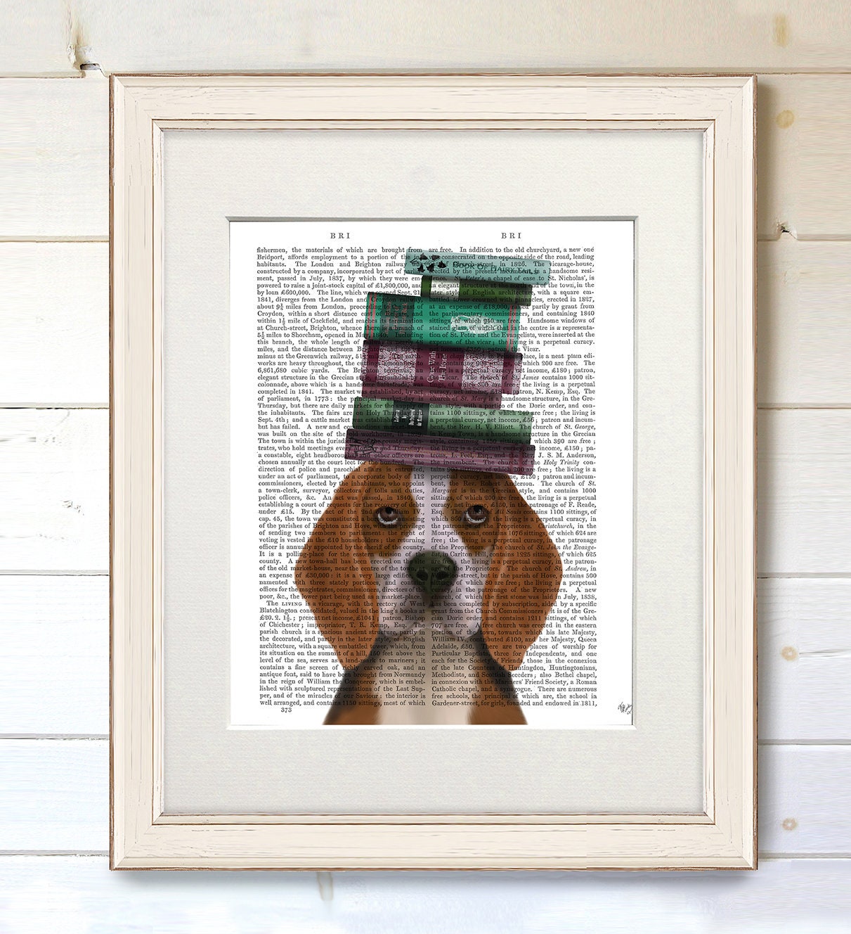 Discussion Post: Bookish Decor – The Bookish Beagle