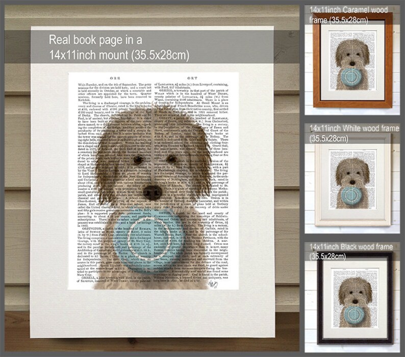 May include: A brown and white dog holding a blue ball, printed on a book page with text. The image is framed in three different colors: caramel, white, and black. Each frame is 14 inches by 11 inches (35.5 cm by 28 cm).