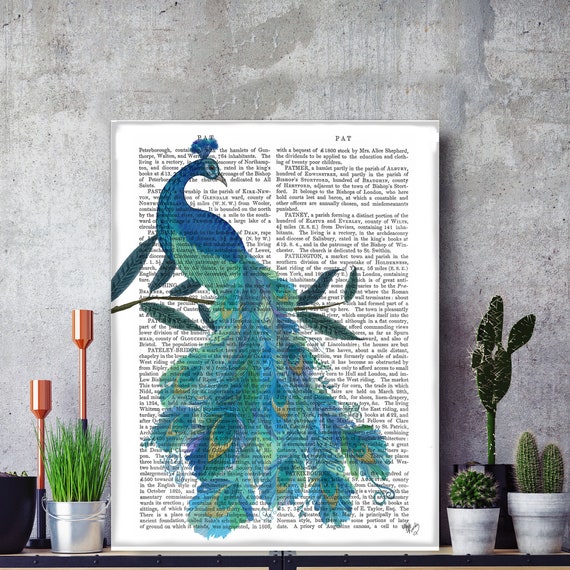 Male peacock display tail feathers For sale as Framed Prints, Photos, Wall  Art and Photo Gifts