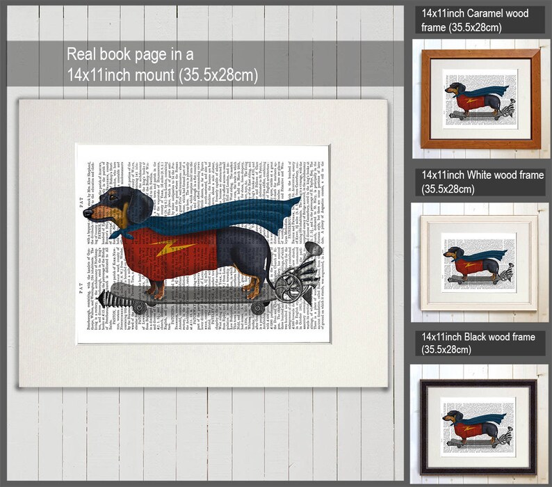 May include: A black and tan dachshund wearing a red and blue superhero costume rides a skateboard on a page from an old book. The image is framed in a 14x11 inch mount.