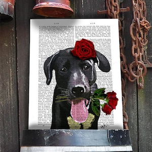 Black Labrador print - valentines dog poster - valentines gift for dog lover black lab print cute valentines gift black labrador retriever