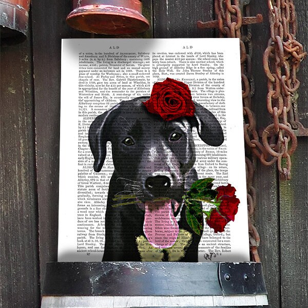 Black Labrador print - valentines dog poster - valentines gift for dog lover black lab print cute valentines gift black labrador retriever