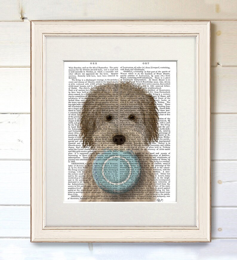 May include: A light brown dog with a light brown nose and brown eyes is holding a blue and white frisbee in its mouth. The dog is in front of a page of text from an old book. The text is in black and white.