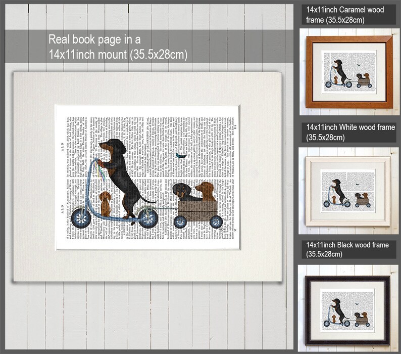 May include: A black and tan dachshund dog riding a scooter with two smaller dachshund dogs in a wagon behind it. The image is printed on a book page and framed in a white wood frame. The frame is 14 inches by 11 inches (35.5 cm by 28 cm).