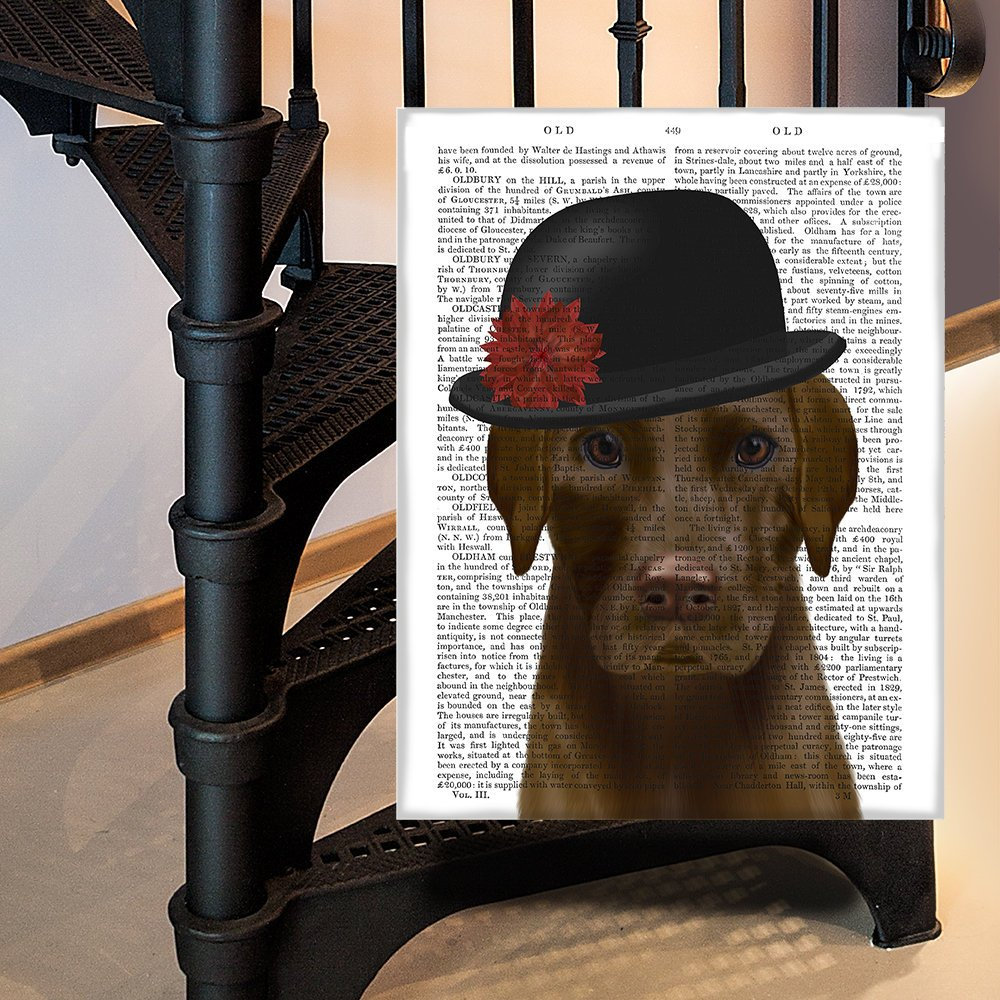 Hallway decor - Brown labrador in bowler hat - Chocolate lab dog sister gift mom unique wall art book page print home decoration canvas art