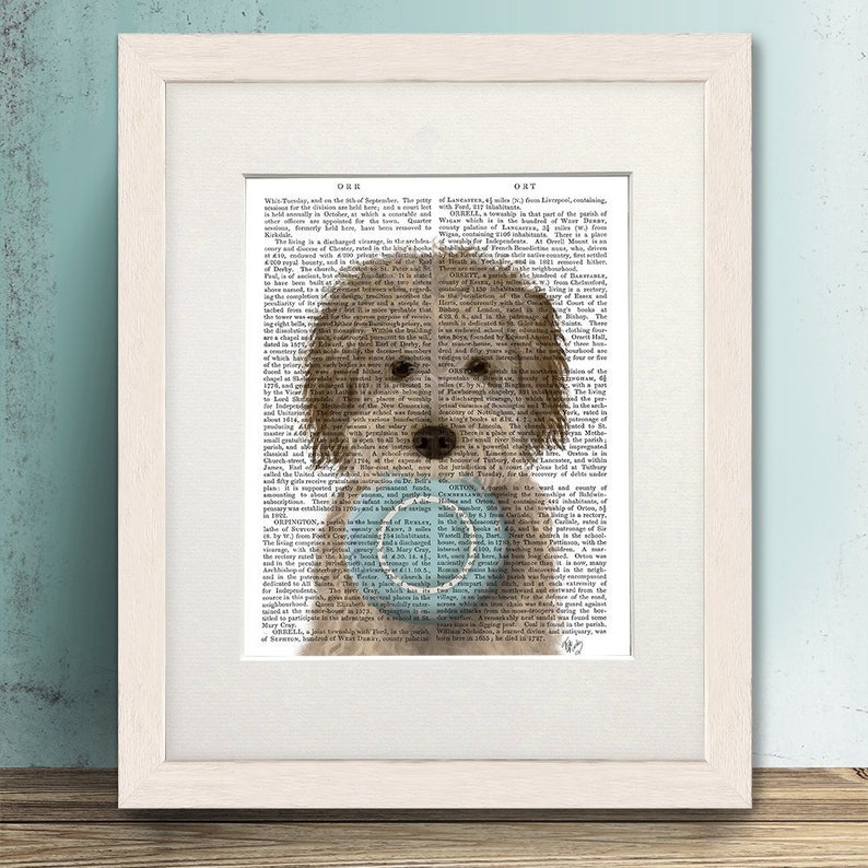 May include: A brown and white dog with a blue and white frisbee in its mouth. The dog is standing in front of a page of text from an old book. The text is about the history of the town of Orford, England.