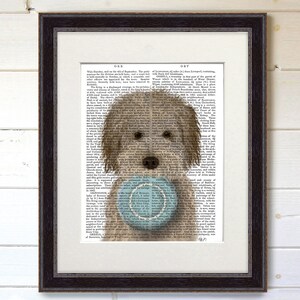 May include: A light brown dog with a blue and white frisbee in its mouth. The dog is looking directly at the camera. The dog is superimposed on a page of text from an old book. The text is about the town of Ormskirk, Lancashire, England.
