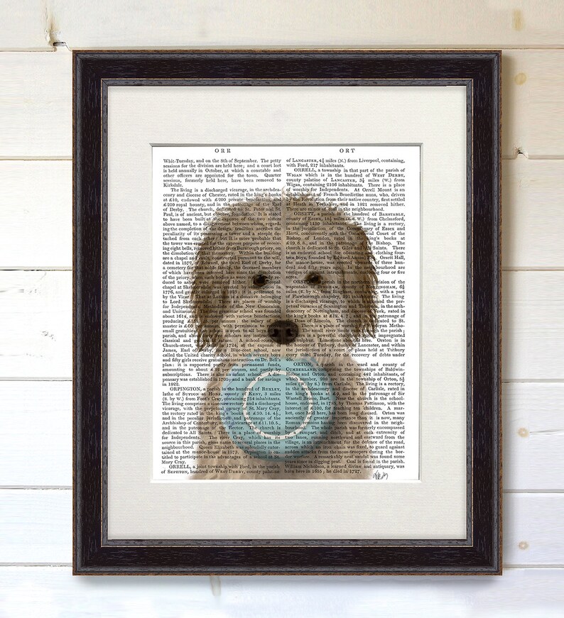 May include: A light brown dog with a blue and white frisbee in its mouth. The dog is looking directly at the camera. The dog is superimposed on a page of text from an old book. The text is about the town of Ormskirk, Lancashire, England.