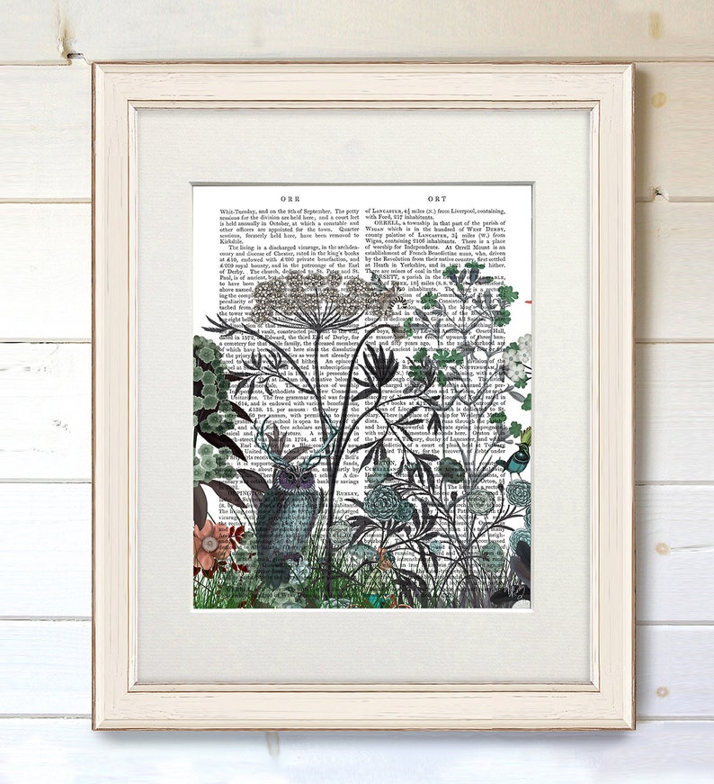 May include: A black and white illustration of an owl and various flowers and plants on a vintage book page. The owl is in the center of the image, with flowers and plants surrounding it. The book page is filled with text, but it is difficult to read.