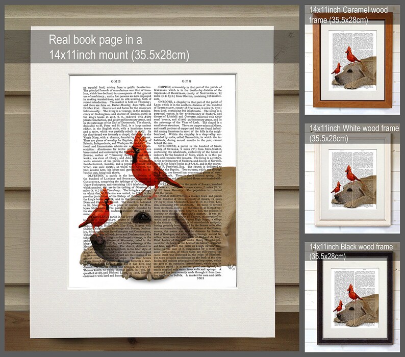 May include: A framed print of a dog with three red cardinals perched on its head. The print is set against a background of a vintage book page with text. The frame is available in caramel, white, and black wood.