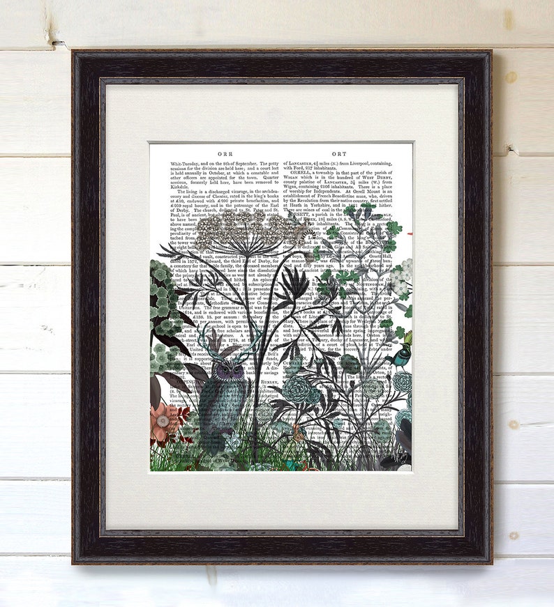 May include: A black and white illustration of an owl and various flowers and plants on a vintage book page. The text on the page is from "The History of the County of Lancaster" by Edward Baines, published in 1825.